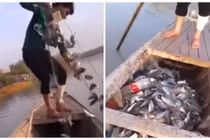 Chàng trai giăng lưới bắt cá và cái kết bất ngờ