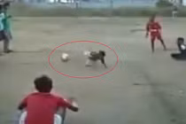 Clip hài hước: Khi bé sút phạt