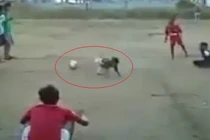 Clip hài hước: Khi bé sút phạt