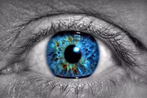 Người bị mù màu nhìn thấy thế giới có màu gì?