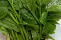 Video: Không phải lúc nào ăn rau mồng tơi cũng tốt