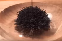 Video: Khơi dậy trí tò mò, sáng tạo bằng những món đồ chơi thú vị dưới đây