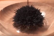 Video: Khơi dậy trí tò mò, sáng tạo bằng những món đồ chơi thú vị dưới đây