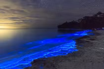 Bí ẩn ánh sáng xanh kỳ lạ bên bờ biển