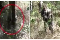 Phục sát đất tài ngụy trang của lính thủy đánh bộ Mỹ