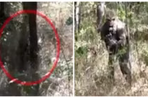 Phục sát đất tài ngụy trang của lính thủy đánh bộ Mỹ