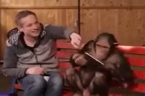 Màn ảo thuật với iPad khiến tinh tinh phát rồ