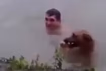 Cảm động chó nhảy xuống ao cứu chủ giả đuối nước