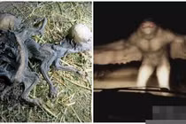 Những quái vật nghi từ hành tinh khác đến Trái đất