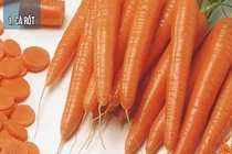 Top thực phẩm giúp mắt sáng khỏe không thể bỏ qua