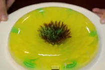 Công thức làm thạch 3D ngon đẹp, nhìn “không nỡ” ăn