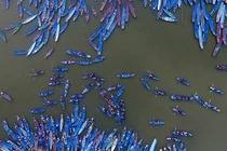 Trải nghiệm chùa Hương ngày chính hội