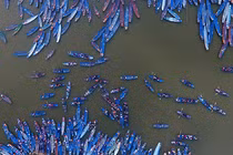 Trải nghiệm chùa Hương ngày chính hội