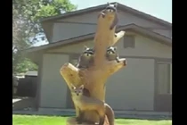 Màn điêu khắc tuyệt đỉnh bằng máy cưa