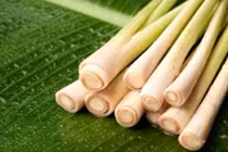 Video: Chữa rụng tóc hiệu quả từ cây sả, chị em áp dụng ngay trước khi quá muộn