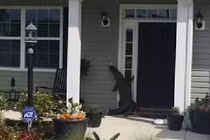 Kinh hãi cảnh cá sấu “bấm chuông, gọi cửa” nhà dân