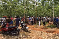 Giả công an hiếp dâm phụ nữ trong rừng cao su