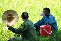 Nắng nóng kéo dài, Chủ tịch Hà Nội ra công điện ứng phó