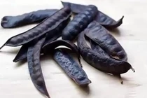 Những công dụng không ngờ từ quả bồ kết