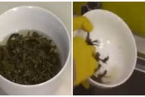 Mẹo vặt đánh bay vết dầu mỡ trong nhà bếp