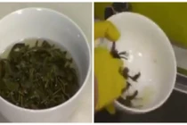 Mẹo vặt đánh bay vết dầu mỡ trong nhà bếp