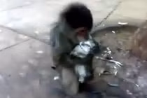 Chết cười với chú khỉ ôm hôn mèo đắm đuối