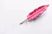 Video: Hướng dẫn làm cây bút lông xinh xinh