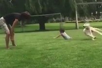 Cười vỡ bụng với những chú chó nghịch ngợm