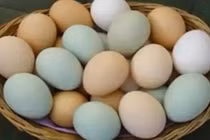 Video: Tiết lộ mẹo hay liên quan tới trứng có thể bạn chưa biết