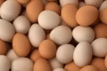 Video: 10 lợi ích tuyệt vời khi ăn trứng gà vào bữa sáng