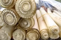 Video: Lợi ích bất ngờ từ thân cây chuối