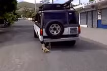 Ô tô chỉ còn 3 bánh vẫn chạy tốt