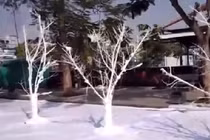 Chiêm ngưỡng “con đường tuyết” đầu tiên ở Hà Nội