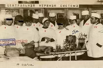 Lộ bí mật ca phẫu thuật ghép đầu chấn động của Liên Xô 