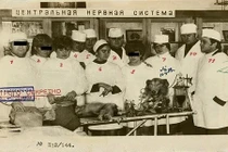 Lộ bí mật ca phẫu thuật ghép đầu chấn động của Liên Xô 