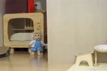 Mê mệt chú mèo đáng yêu trong trang phục “cô y tá” 