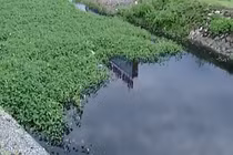 Những dòng sông “chết” mong manh hy vọng hồi sinh