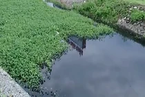 Những dòng sông “chết” mong manh hy vọng hồi sinh