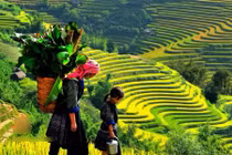 Bí quyết chụp ảnh ngoài trời đẹp khi đi du lịch