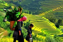 Bí quyết chụp ảnh ngoài trời đẹp khi đi du lịch