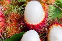 Công dụng của quả chôm chôm trong việc chữa trị bệnh