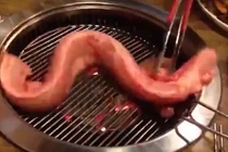 Lươn khủng bị chặt đầu, lột da vẫn quằn quại trên vỉ nướng