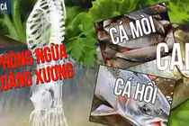 6 thực phẩm ngăn ngừa loãng xương bạn nên biết