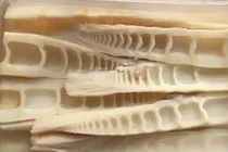 Bí kíp muối măng tươi ngon hấp dẫn