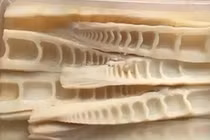 Bí kíp muối măng tươi ngon hấp dẫn