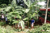 2 mẹ con đi xe máy tử vong vì va chạm xe khách