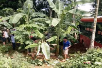 2 mẹ con đi xe máy tử vong vì va chạm xe khách