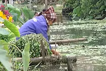 Kinh hoàng người Hà Nội ăn rau rửa bằng nước thải