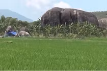 Bí ẩn ngôi làng liên tục bị sét đánh ở Khánh Hòa