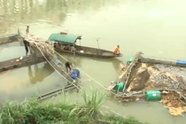 Hơn 70 tấn cá bị cuốn trôi sau khi thủy điện xả lũ 